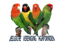 Presentation of BVA bird club