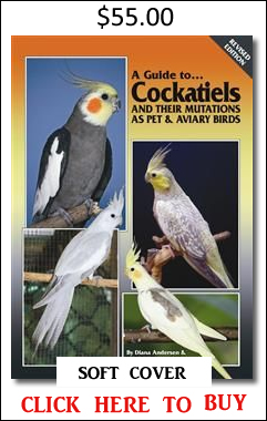 Cockatiels soft