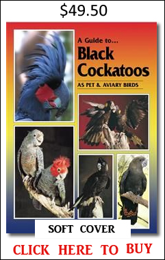 Black Cockatoos soft