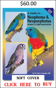 Neophema Neopsephotus soft
