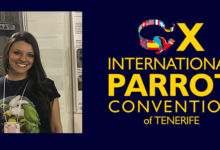 Speakers of the X. International Parrot Convention: Fernanda Riera Paschotto